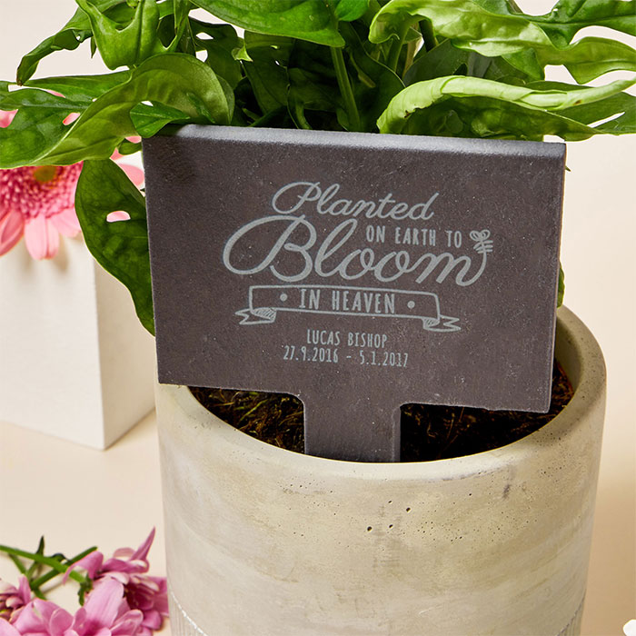 Engraved Slate Plant Marker - Bloom In Heaven