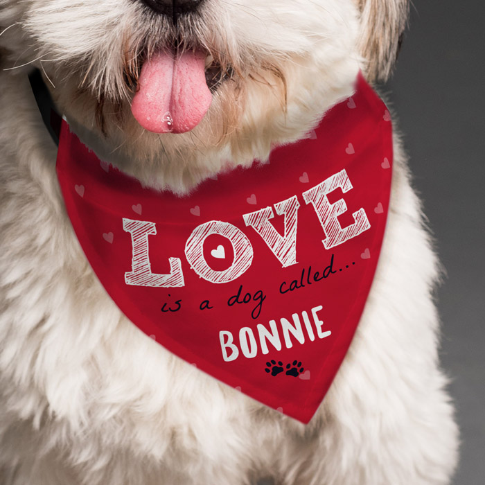 Personalised Love Dog Bandana