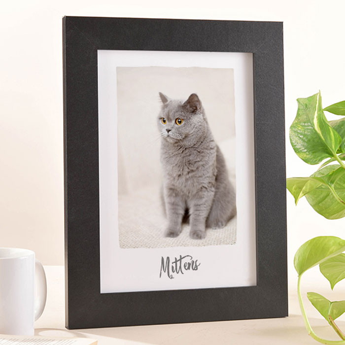 Photo Upload Portrait Framed Print - Cat Lovers