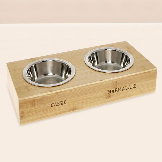 Personalised Engraved Double Pet Bowl - Cat or Small Dog