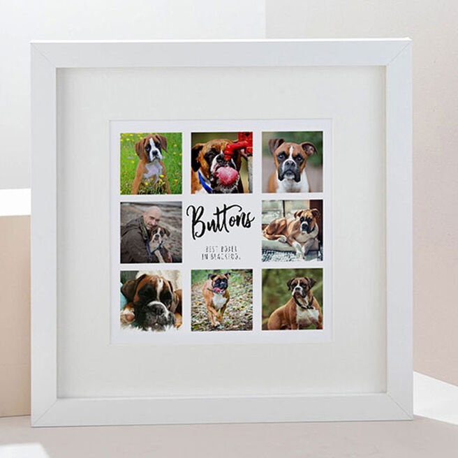 Multi Photo Upload Square Framed Print - 8 Dog Photos