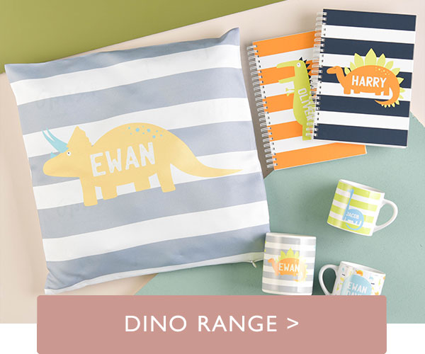 dino range of gifts for kids