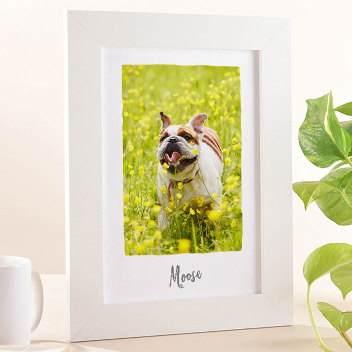 Photo Upload Portrait Framed Print - Dog Lovers
