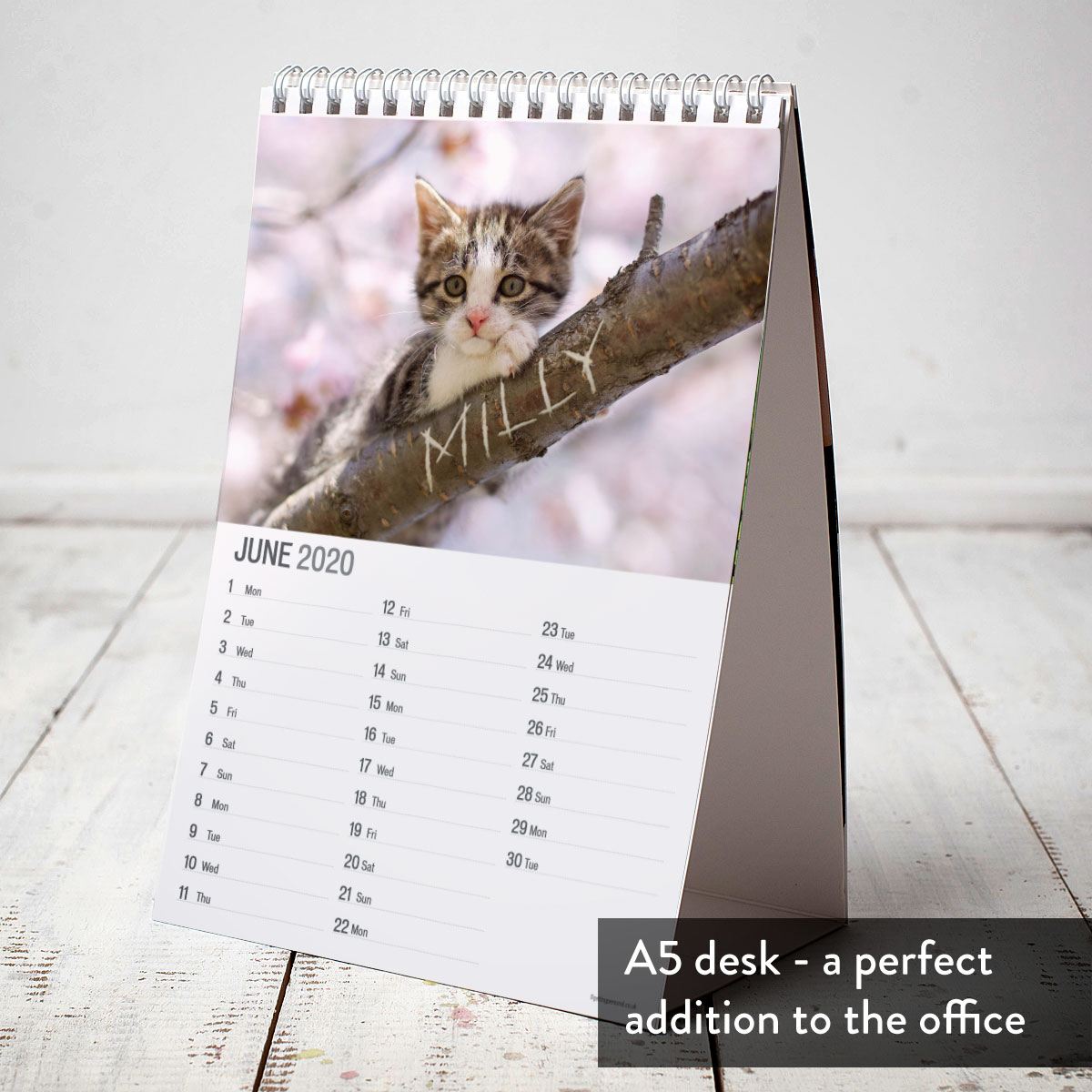 Personalised Calendar - Cats