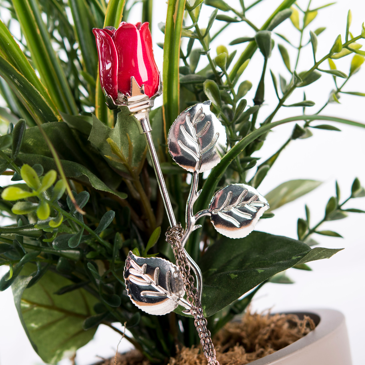 Personalised Silver-Plated Rose