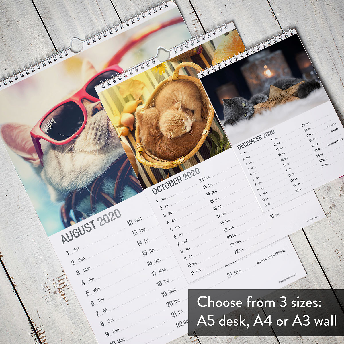 Personalised Calendar - Cats