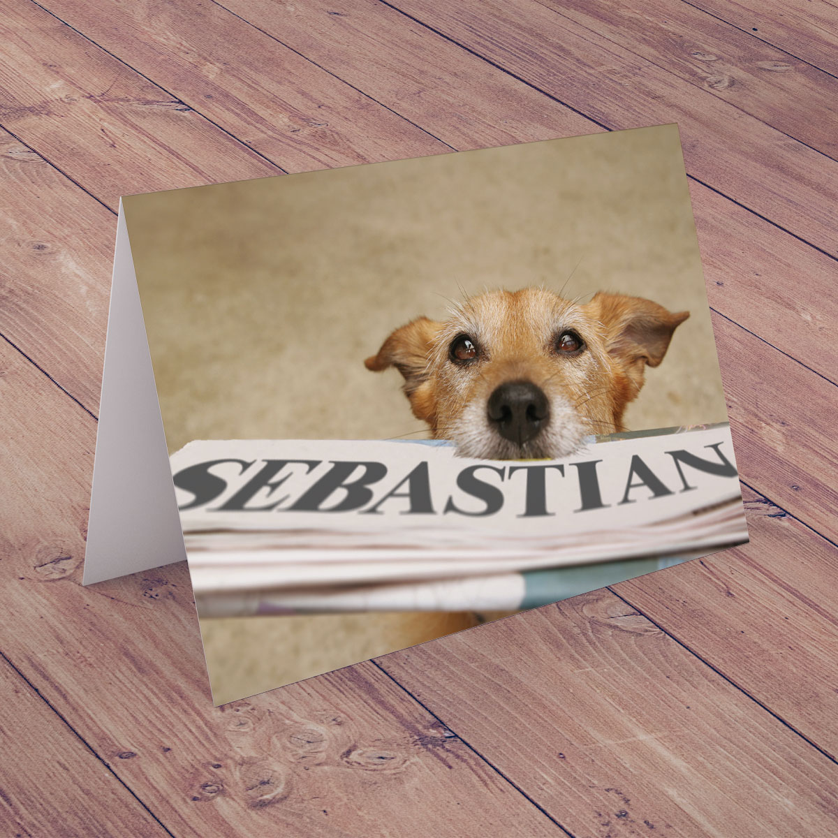 Personalised Card - Dogs Newspaper