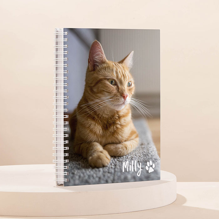 Photo Upload Notebook - Pet Cat