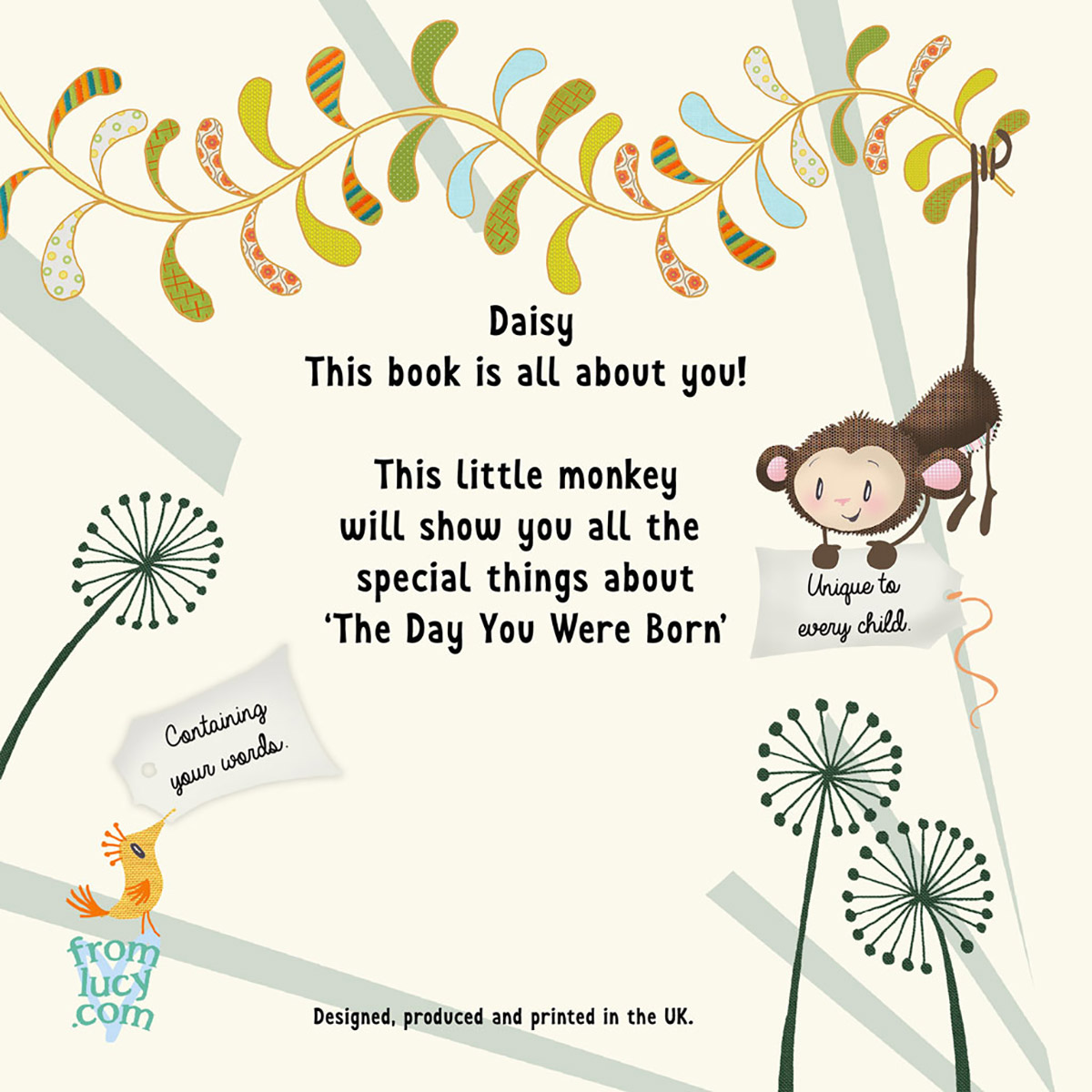 Personalised Children's Book - The Day You Were Born