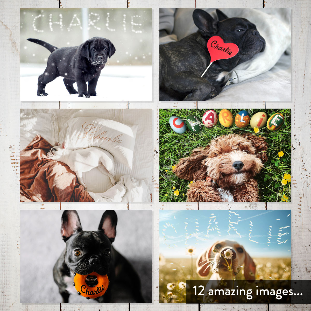 Personalised Calendar - Dogs