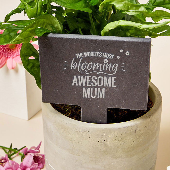 Engraved Slate Plant Marker - World's Most Blooming